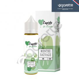 Menthe Sauvage Cupide Maison Fuel