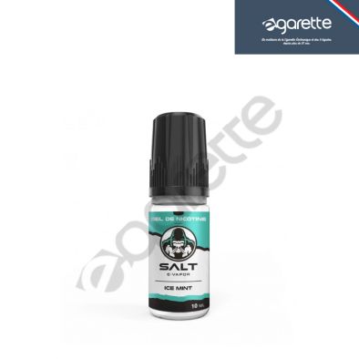 Ice Mint Sels de nicotine Salt E-Vapor 0