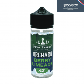 E-liquid Berry Limeade Orchad Ice 100 ml - Five Pawns