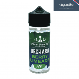 E-liquide Berry Limeade Orchad Ice 100 ml- Five Pawns